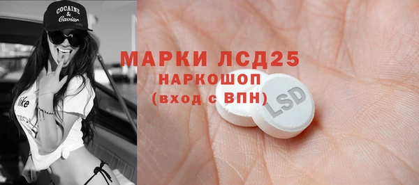 спиды Новокубанск