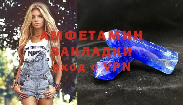 сатива Новодвинск