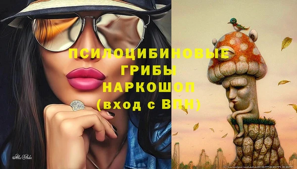 ECSTASY Новозыбков