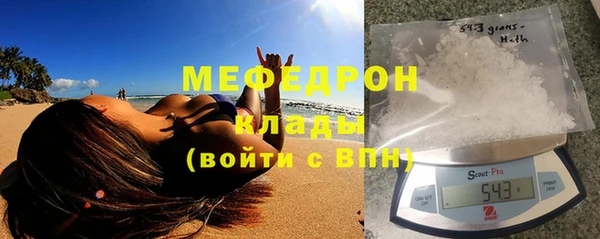 сатива Новодвинск
